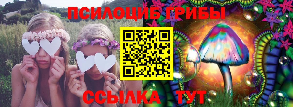 Касимов  Галлюциногенные грибы прущие грибы  Галлюциногенные грибы Magic Shrooms  Вход с VPN 